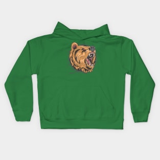 honey bear rage Kids Hoodie